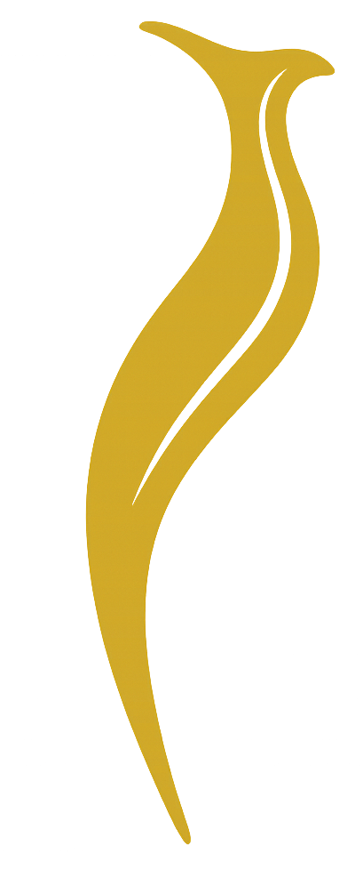 Asociația A.D.U.L.T.