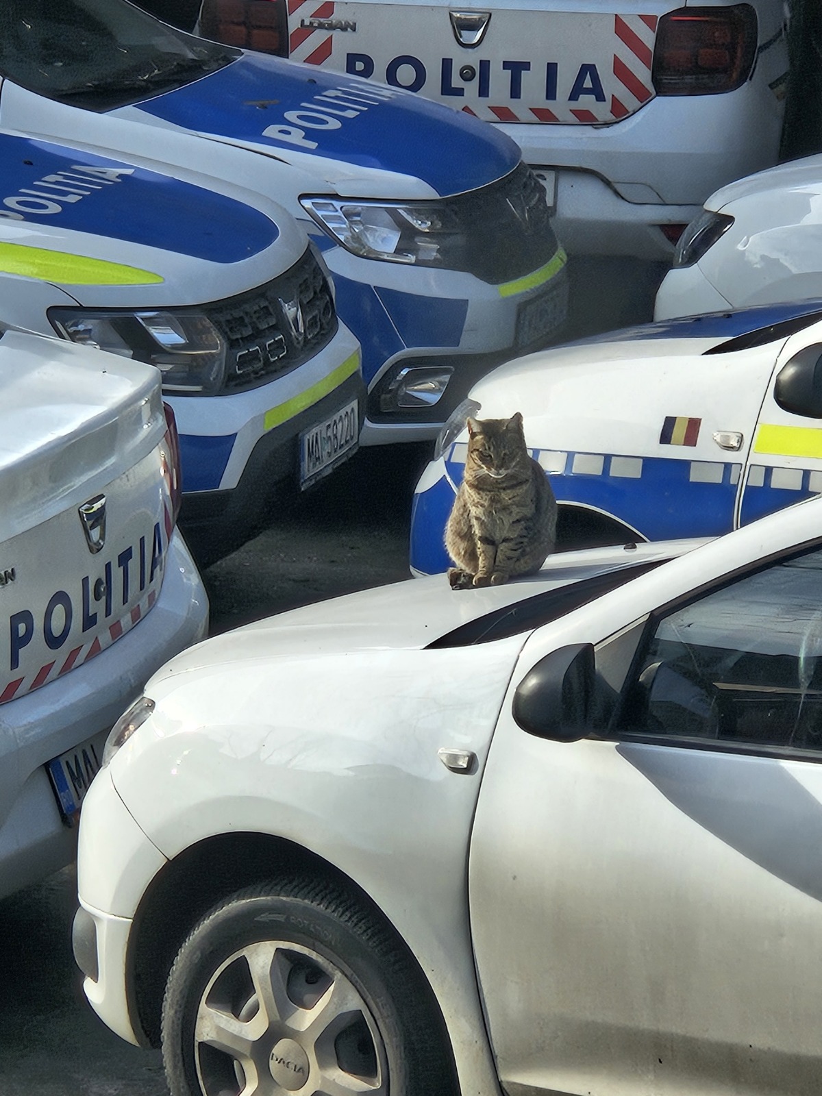 Este momentul să fim uniți!